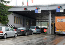 FVA foils import attempt of 10 tons of lambskin from Albania