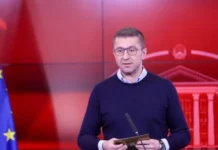 Mickoski denies the Government hired a company to monitor the opposition