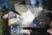 Tetovo police officers arrest three minors in a drug packaging sweatshop bust