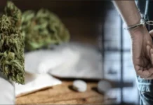 Over 70 arrested in drug trafficking raids