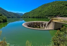 Domestic energy grid remains stable, no indications that low water levels in Europe pose risk to energy production