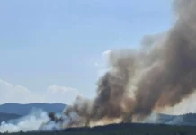 Angelov: Delchevo resident burned tires in his yard, pine forest caught on fire