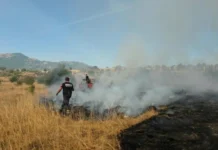 Five active fires, two under control