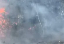 Disaster averted after fire in Bonche near Prilep approached houses