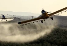 Health Minister: Mosquito repellents are safe for people and recommended by the WHO