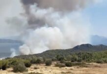 Raging wildfire in Serbia spreading towards Macedonia