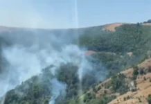 CMC: 12 wildfires registered, five active, four contained