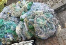 Four kilometers of fish-poachers’ nets emptied Lake Ohrid of whitefish – confiscations, no arrests